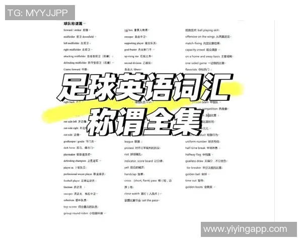 台湾足球明星翻译的文化差异与语言挑战探讨